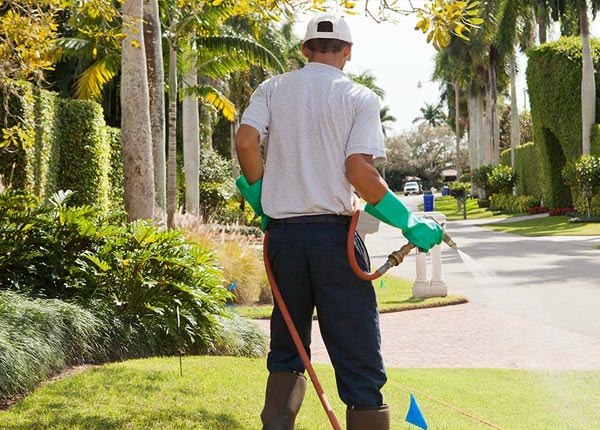 About Riceville PA Pest Control